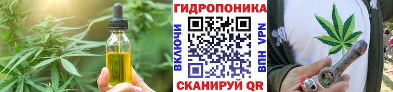 как найти закладки  Лахденпохья  Cannafood конопля 