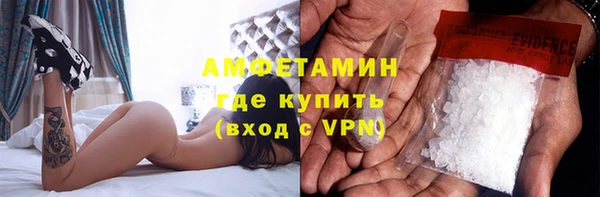 стаф Алзамай