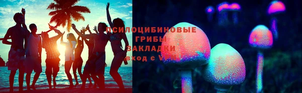 стаф Алзамай