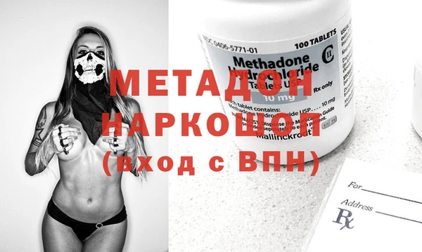 стаф Алзамай