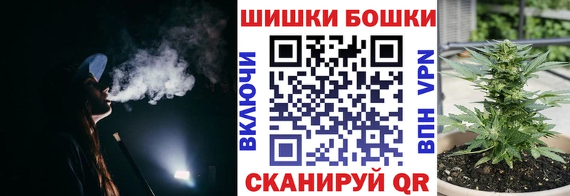 Канабис сатива  наркотики  Лахденпохья 